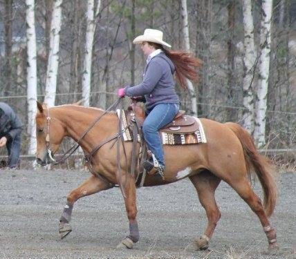 Western-ridning